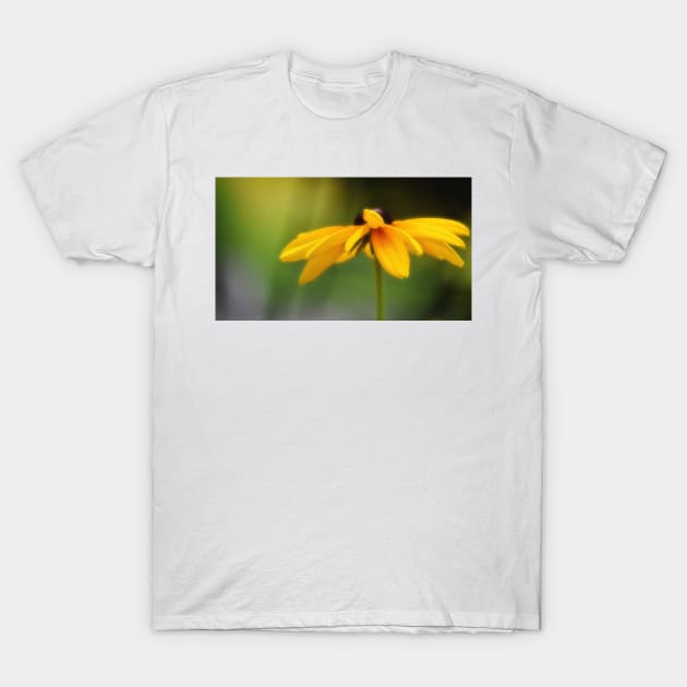 Black Eyed Susan T-Shirt by mariakeady